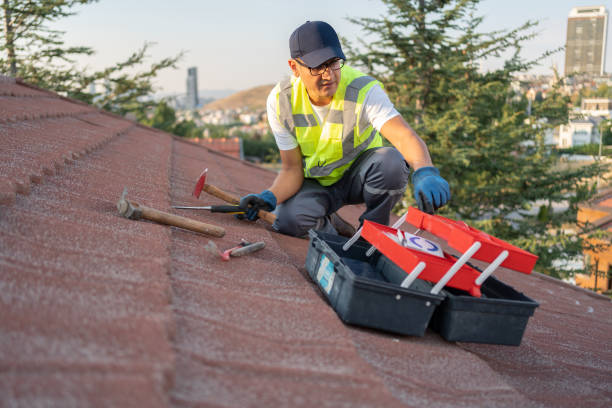 Best Yard Waste Removal  in Wauregan, CT